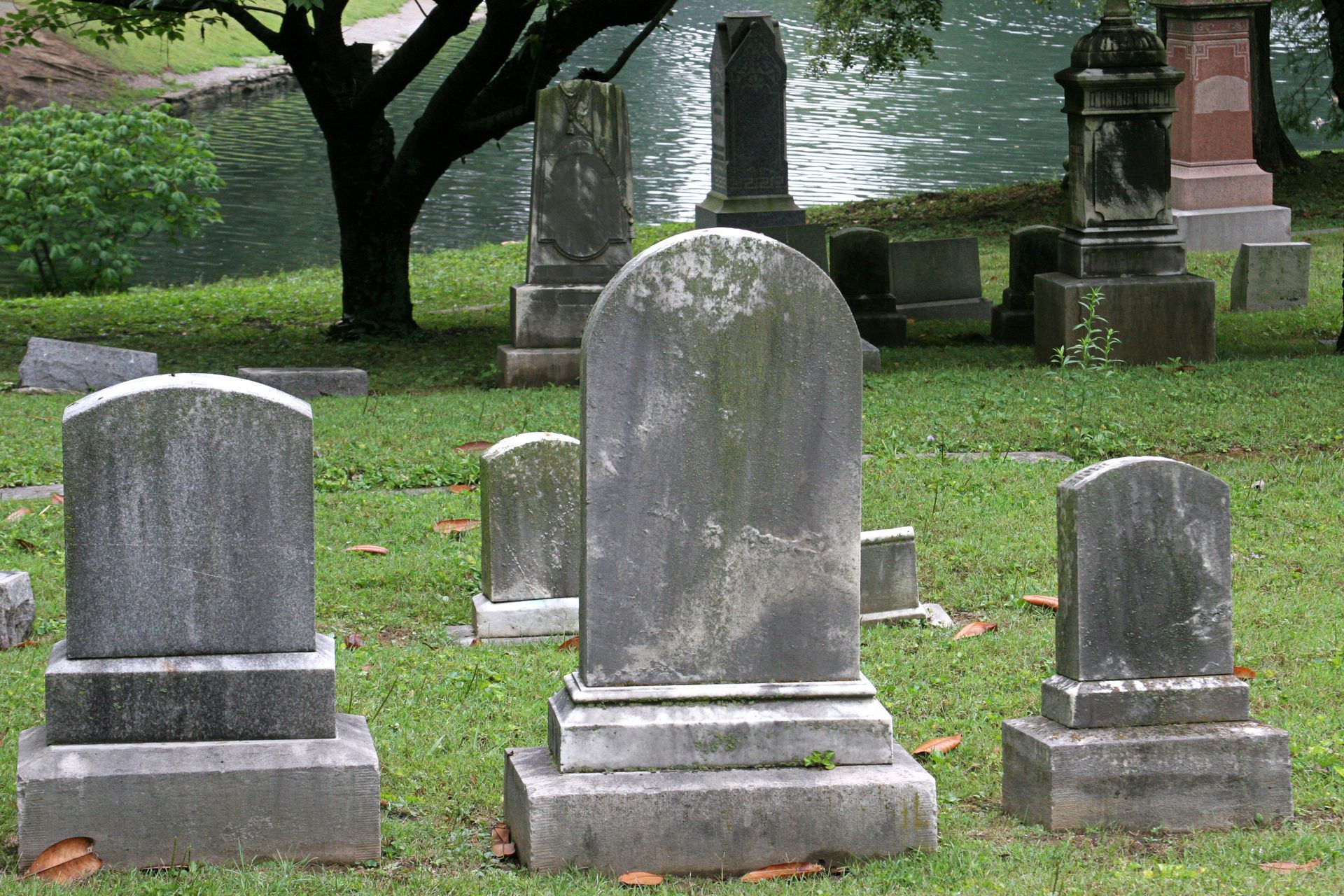 Several gravestones in a grassy cemetery under a tree