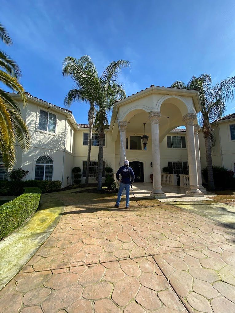 A man is standing in front of a large white house with palm trees.