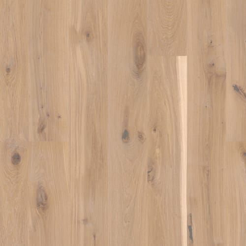 Hout,plank,Haven