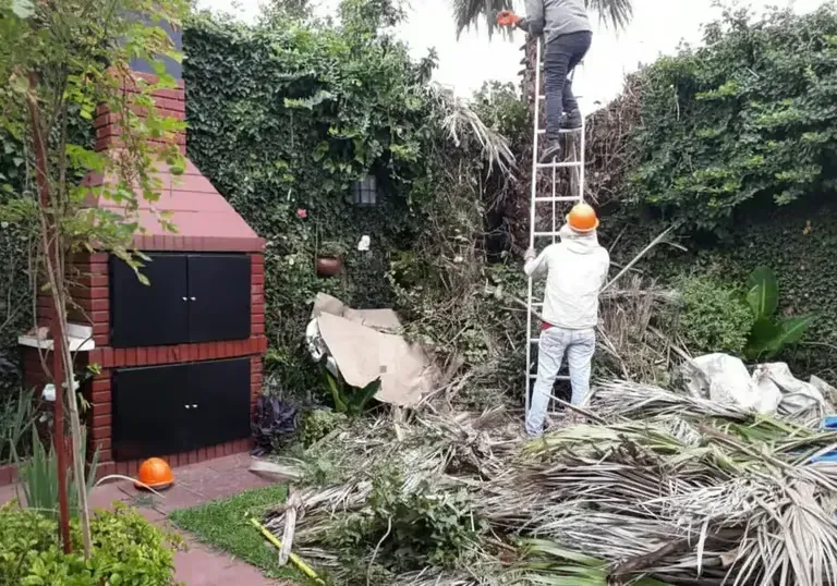 Una persona con casco poda las enredaderas que han crecido demasiado junto a un cobertizo rojo y una escalera en un jardín.