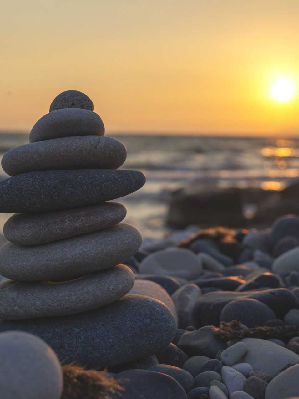 Gain peace with a business plan
