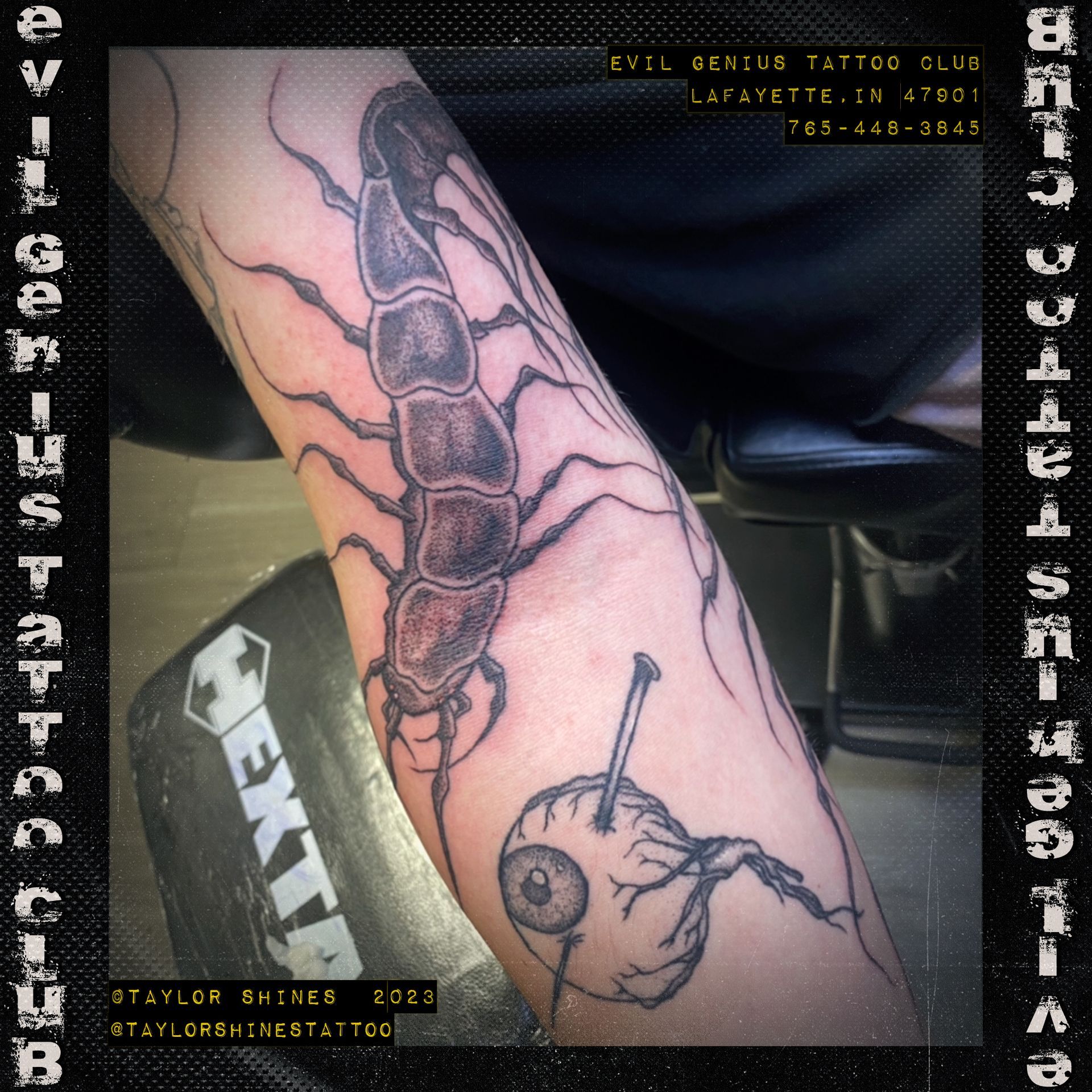 Taylor Shines centipede tattoo