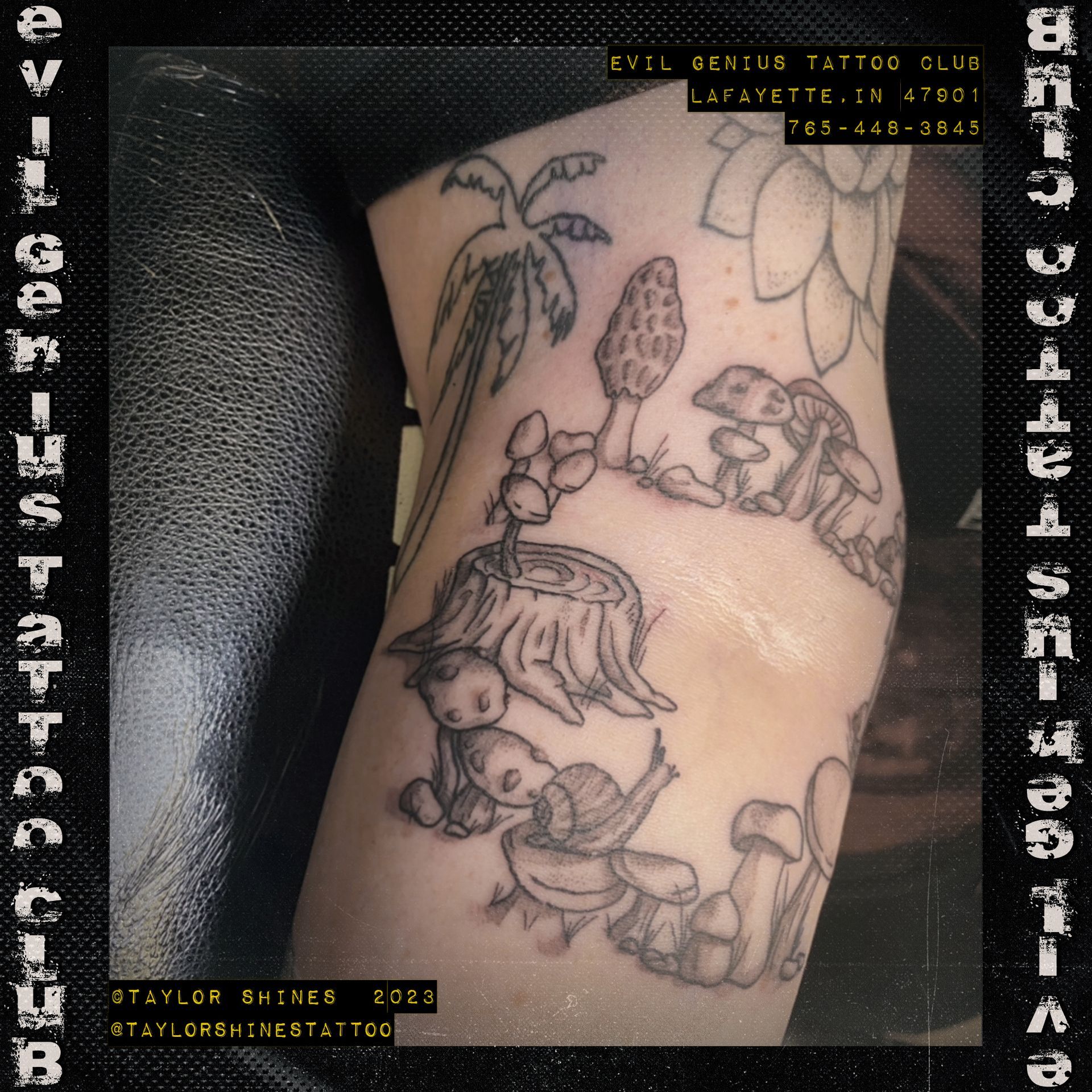 Taylor Shines Fairy Circle tattoo