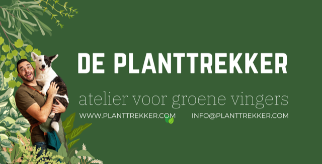 Planttrekker