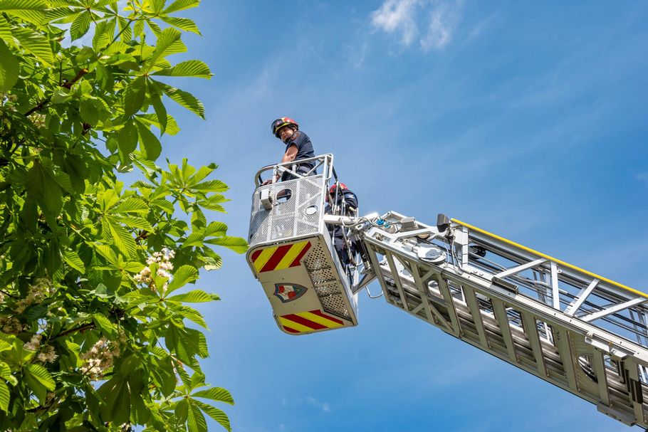 A firefighter in a helmet stands in an elevated aerial ladder bucket next to a leafy tree against a bright blue sky.