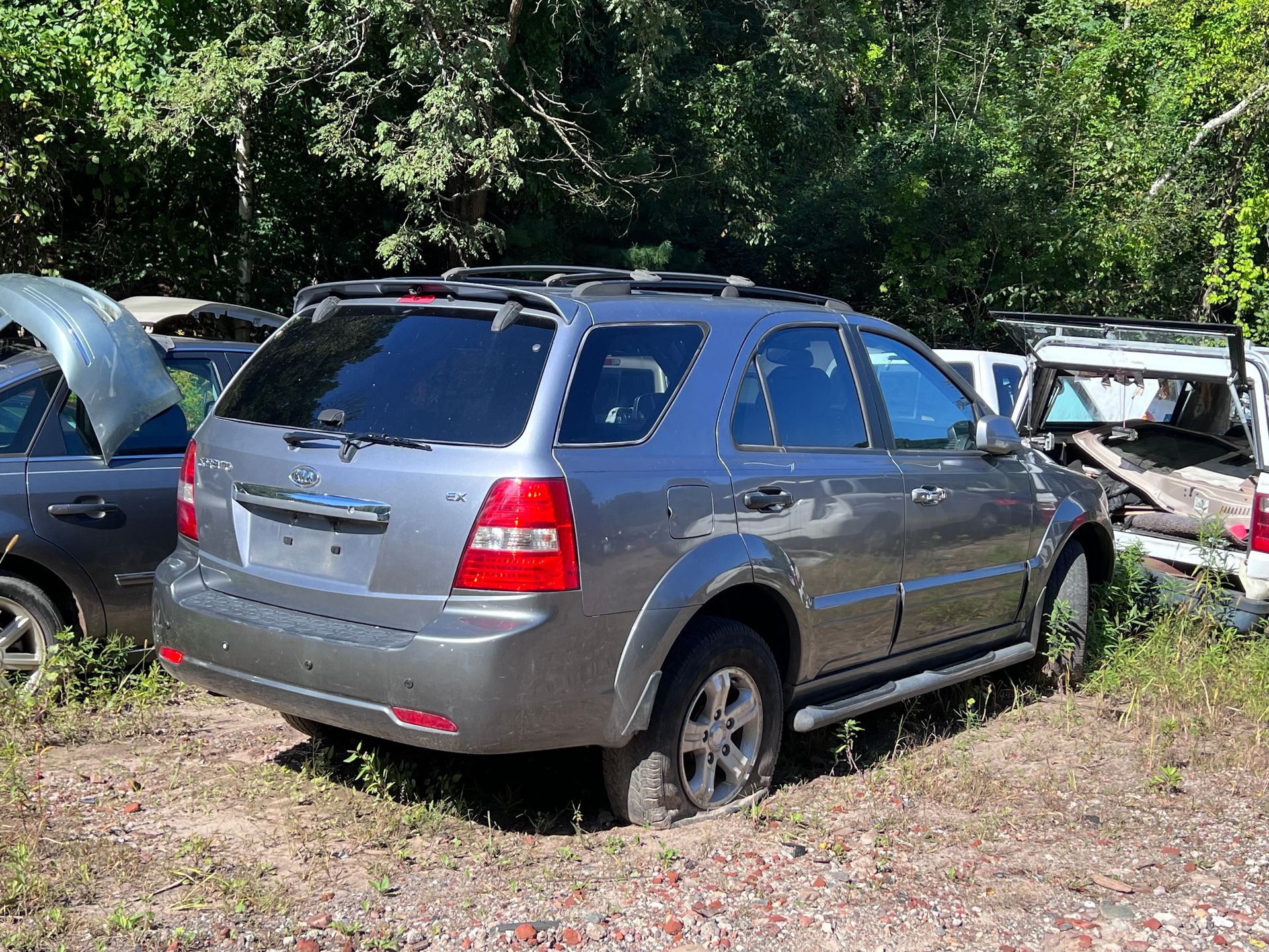 Used & Salvage Cars Chicopee, MA Chicopee Auto Farm