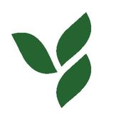 Un logotipo estilizado que consta de tres hojas de color verde oscuro dispuestas en forma de rama sobre un fondo blanco.