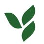 Un logotipo estilizado que consta de tres hojas de color verde oscuro dispuestas en forma de rama sobre un fondo blanco.