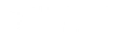 A white background with a few lines on it