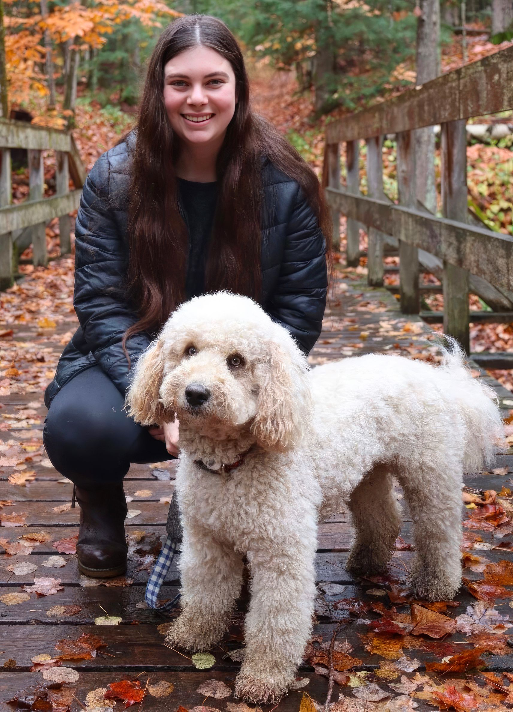 Full Dog Grooming Courtice | Puppy Grooming Courtice
