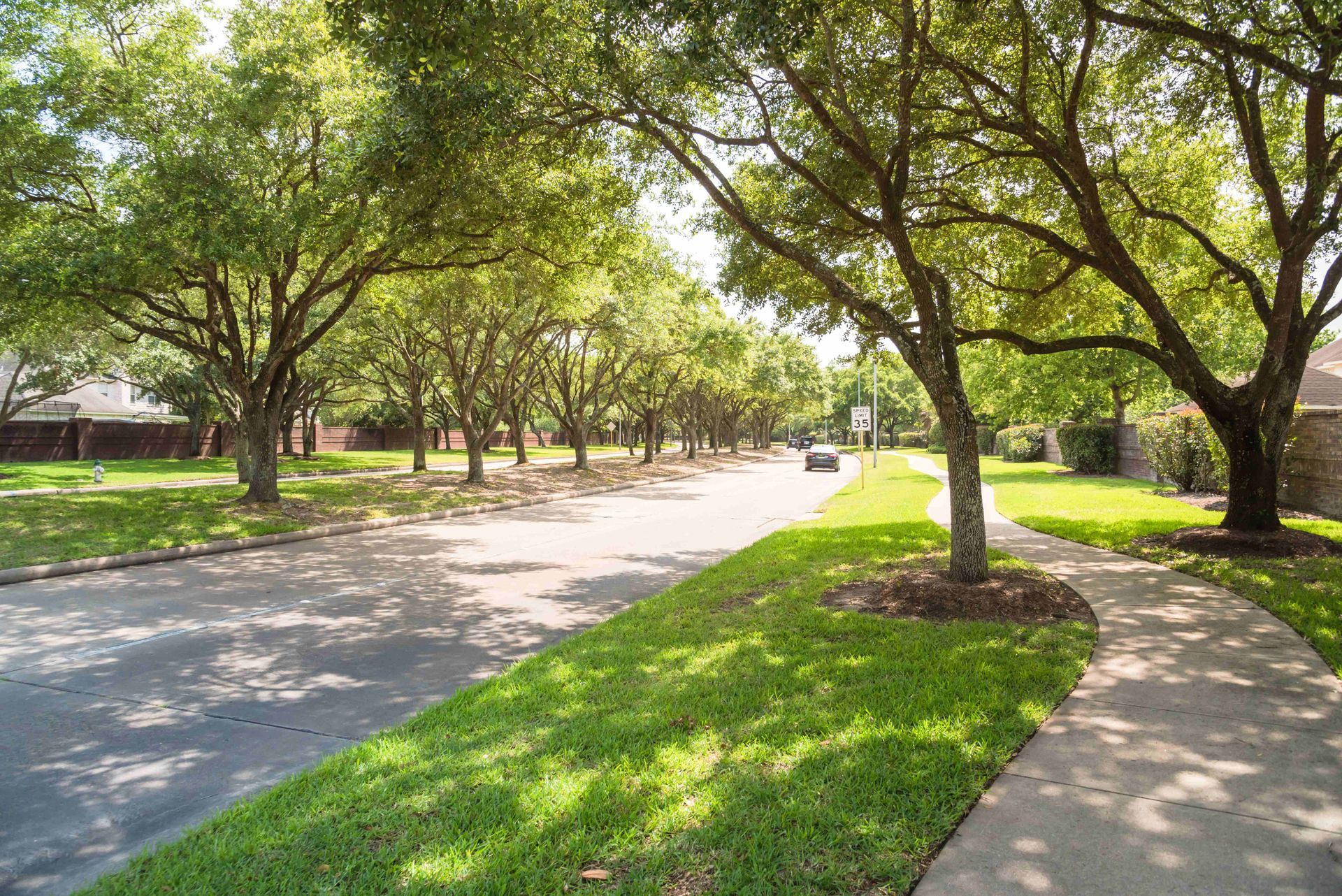 Tree-lined park path with green grass and curving sidewalks in bright sunlight