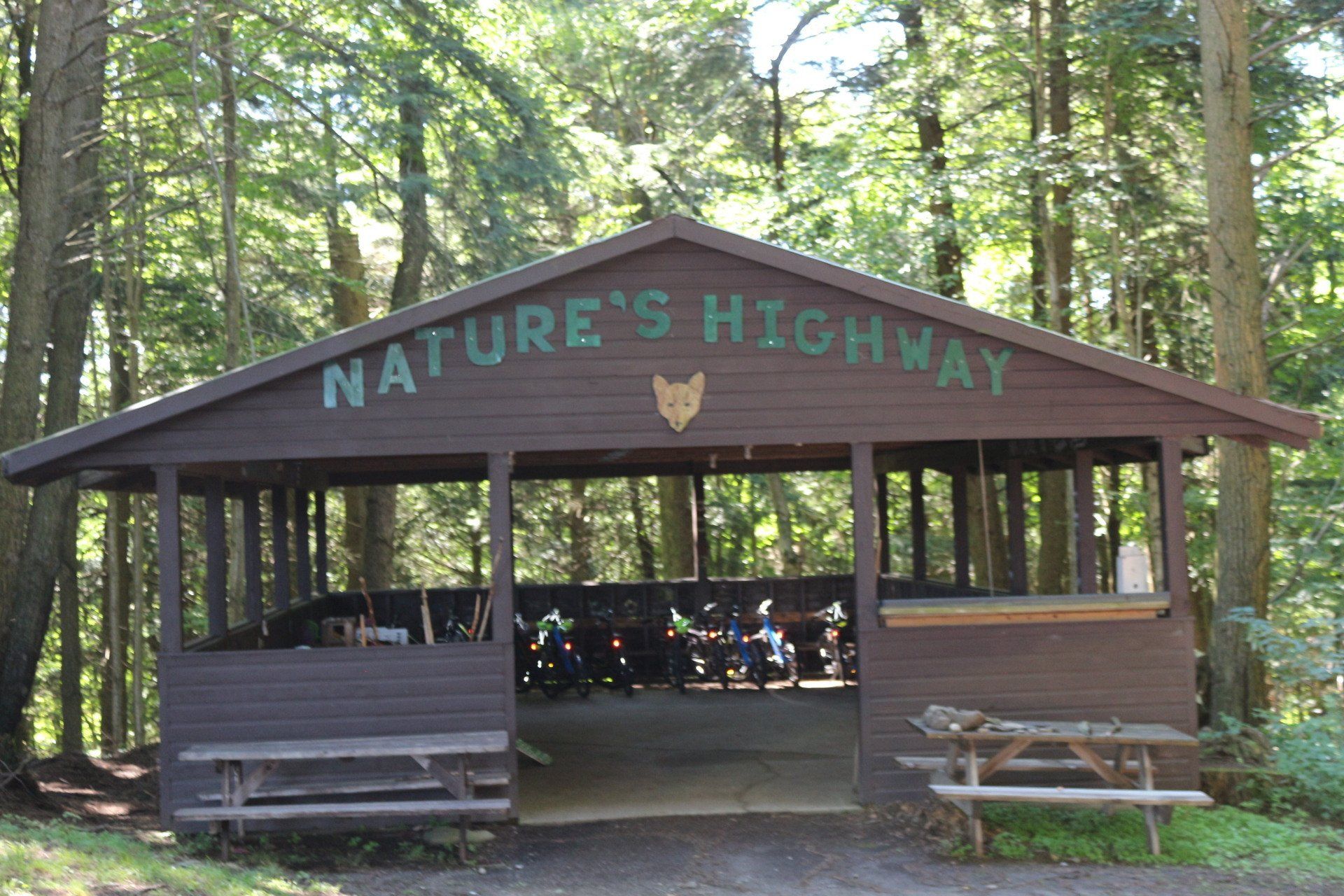 Camp Lookout pictures