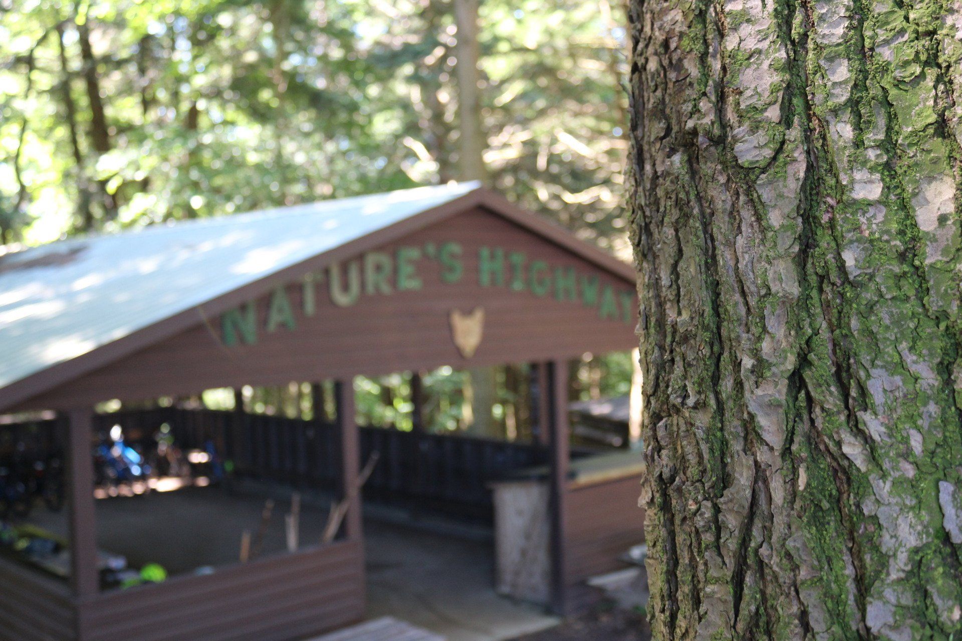 Camp Lookout pictures