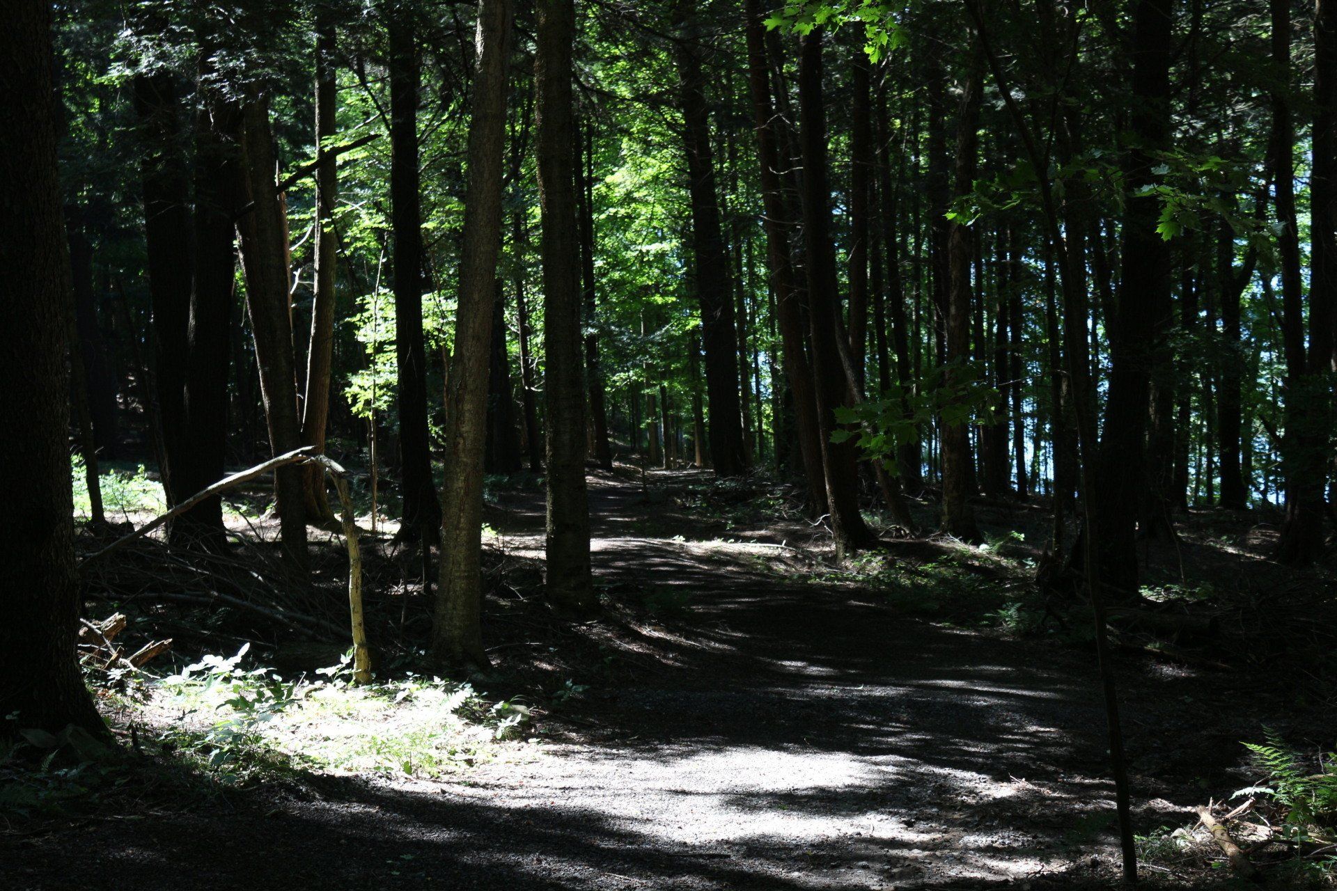Camp Lookout pictures