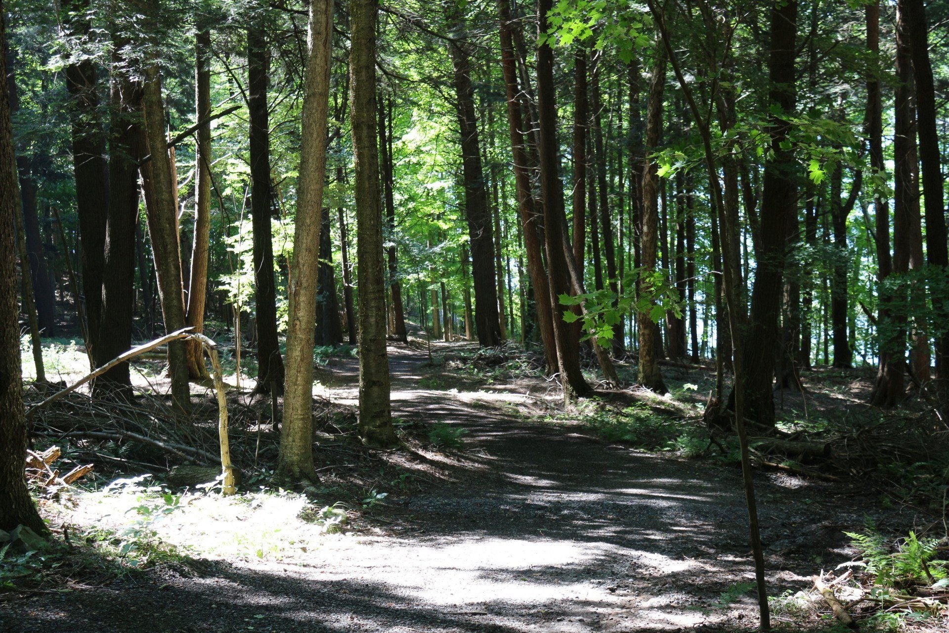 Camp Lookout pictures
