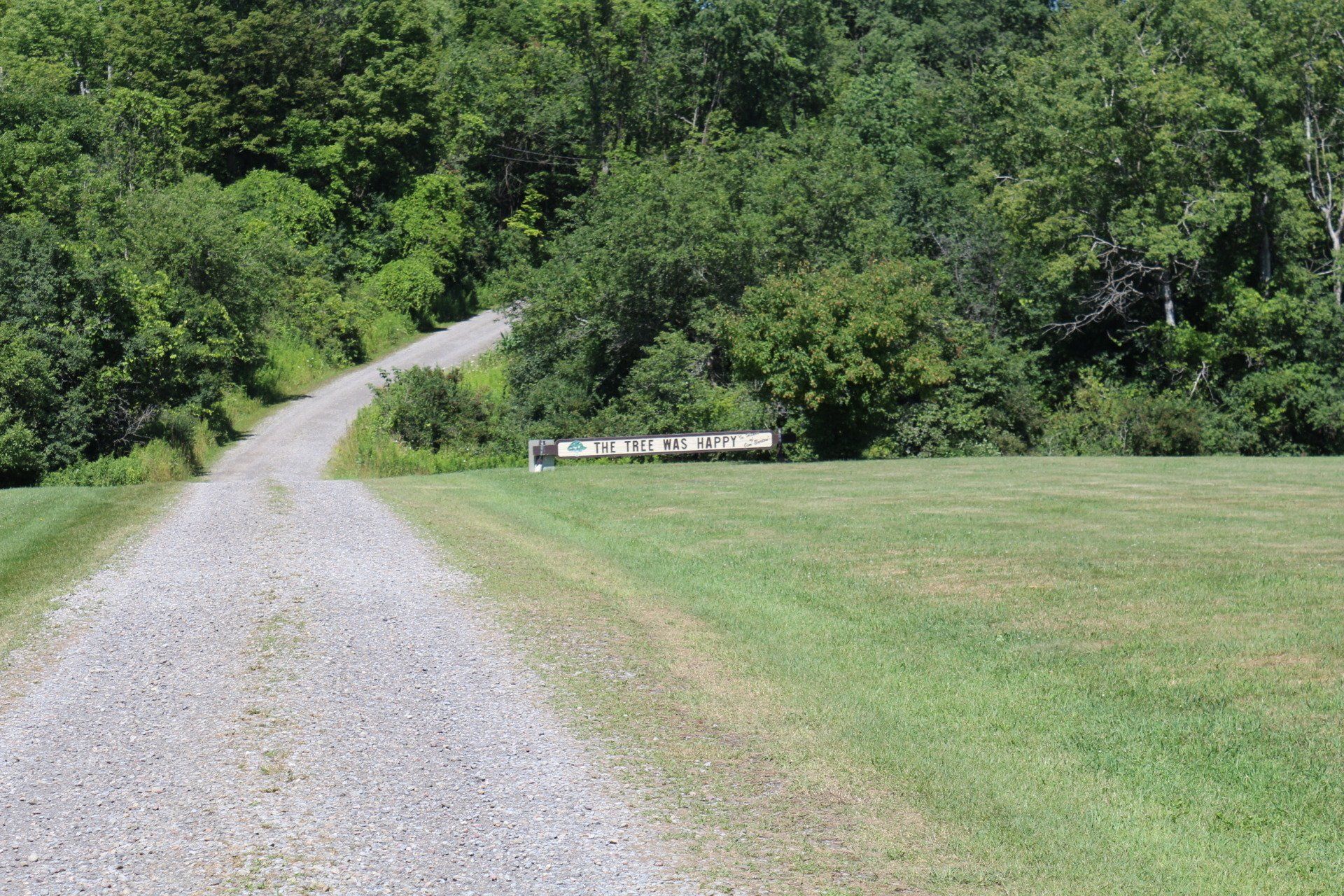 Camp Lookout pictures