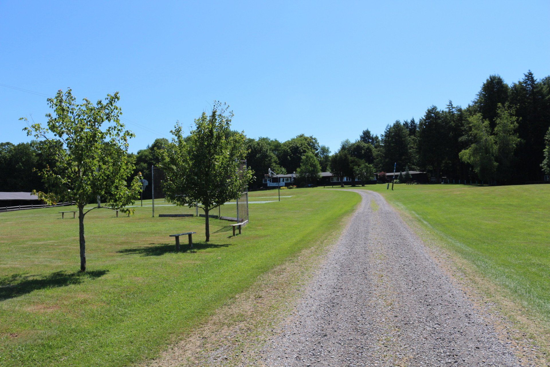 Camp Lookout pictures