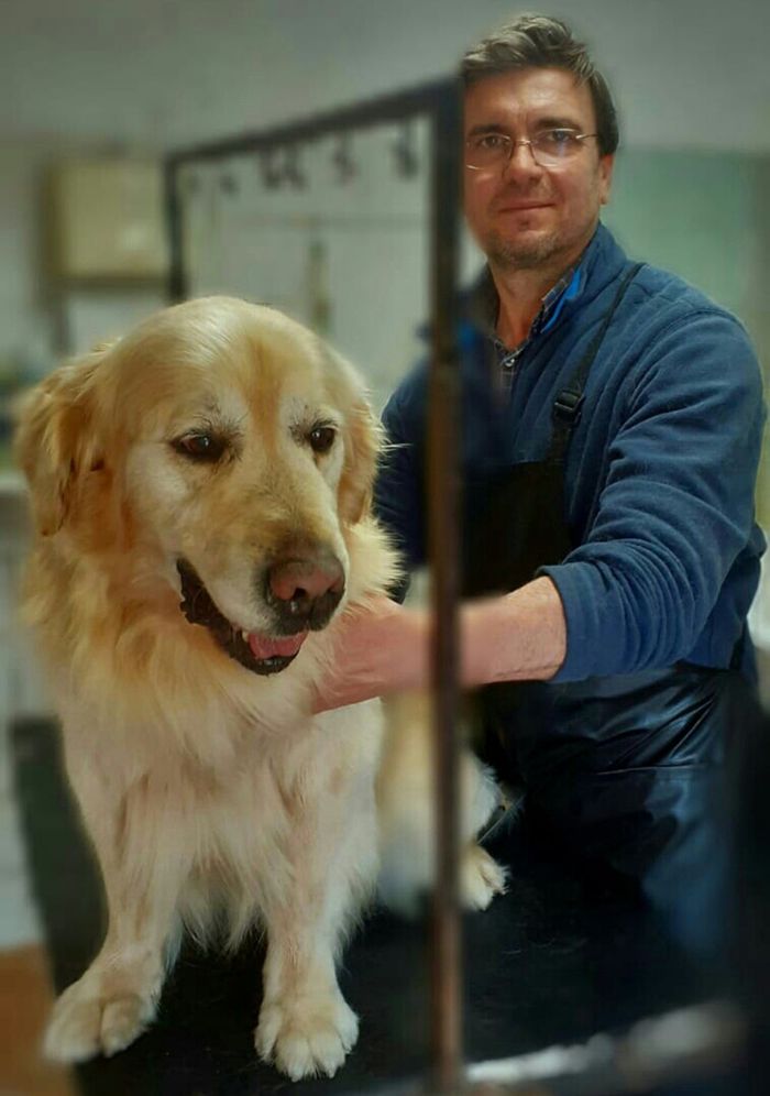 cane alla toelettatura
