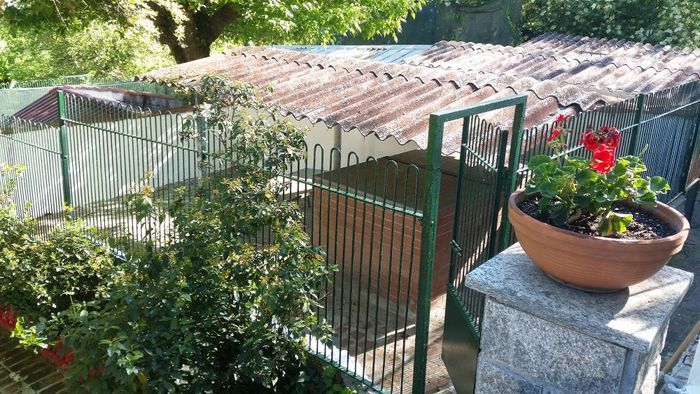 la casa del cane