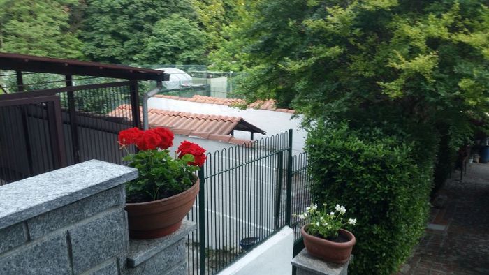 ampi box per cani