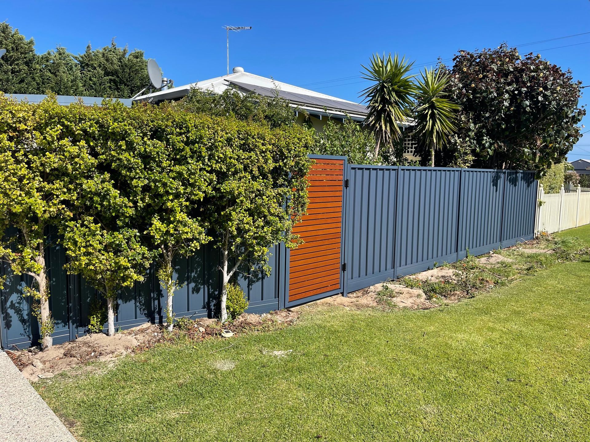 Blue metal fence with orange gate beside a green lawn and hedge under a clear sky
