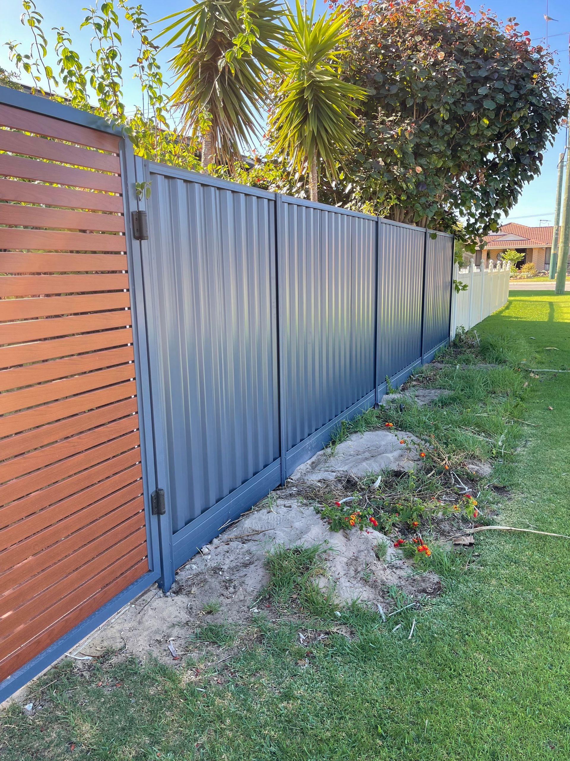 Corrugated metal fence beside a wooden gate, with grass, dirt, and palm trees in a sunny yard.