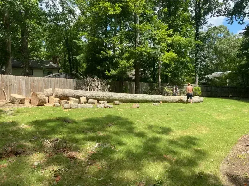 A man is standing in a yard next to a large tree trunk.