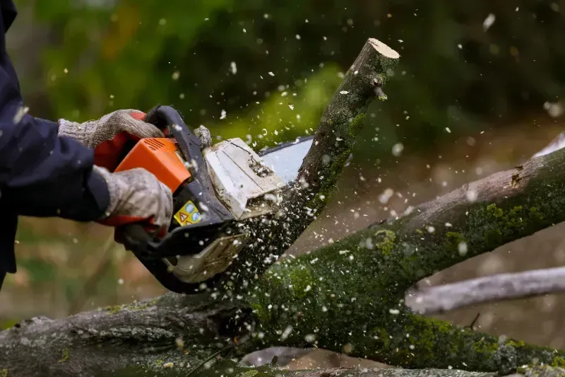 Person using a chainsaw to cut a tree branch. Sparks and wood chips fly.