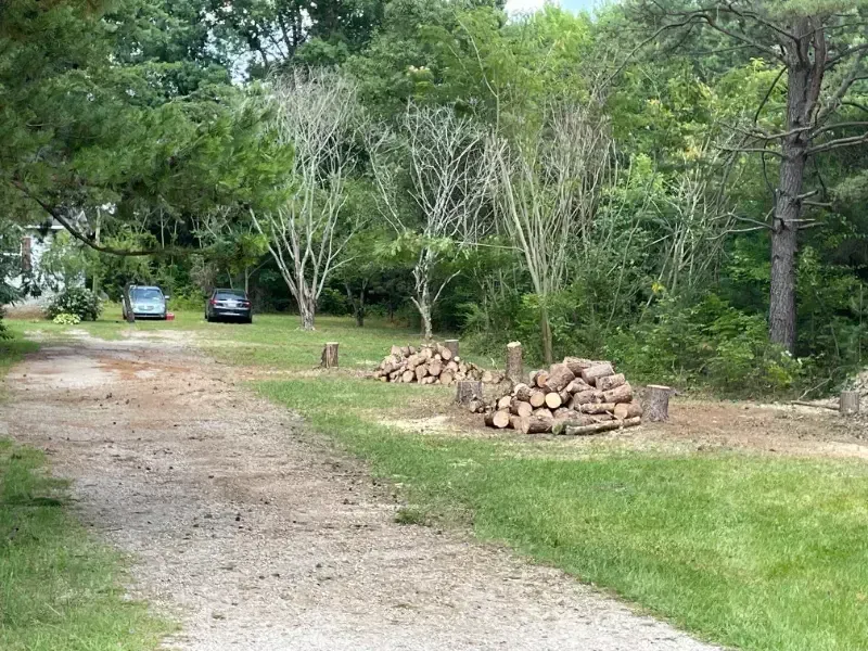 Gravel driveway with two parked cars, woodpile, and trees along a grassy yard