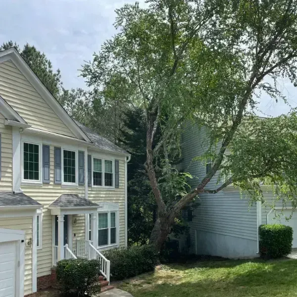 A white house with a tree in front of it