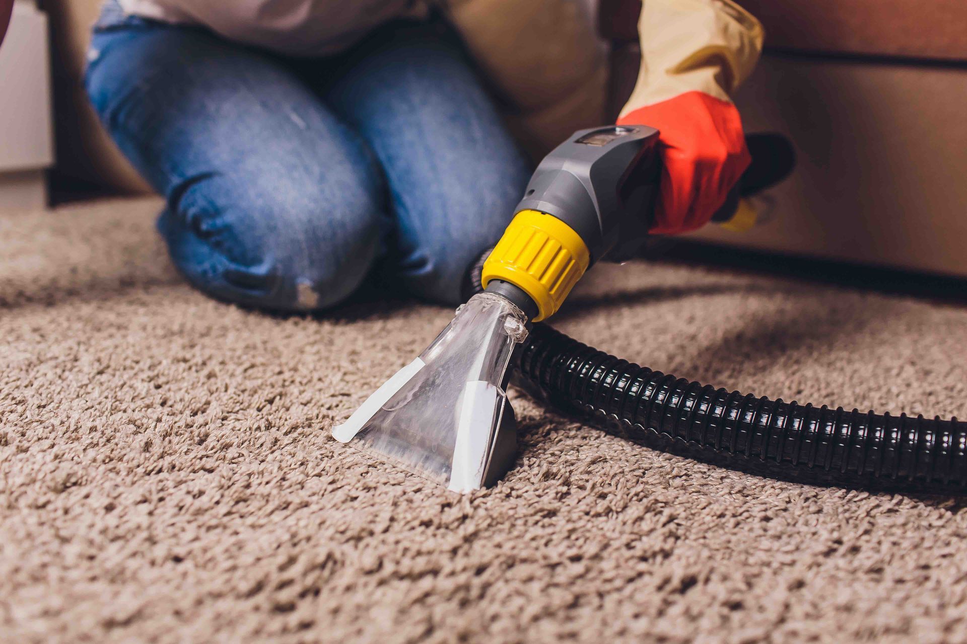 Person cleaning a carpet with a carpet cleaner. They are wearing gloves.
