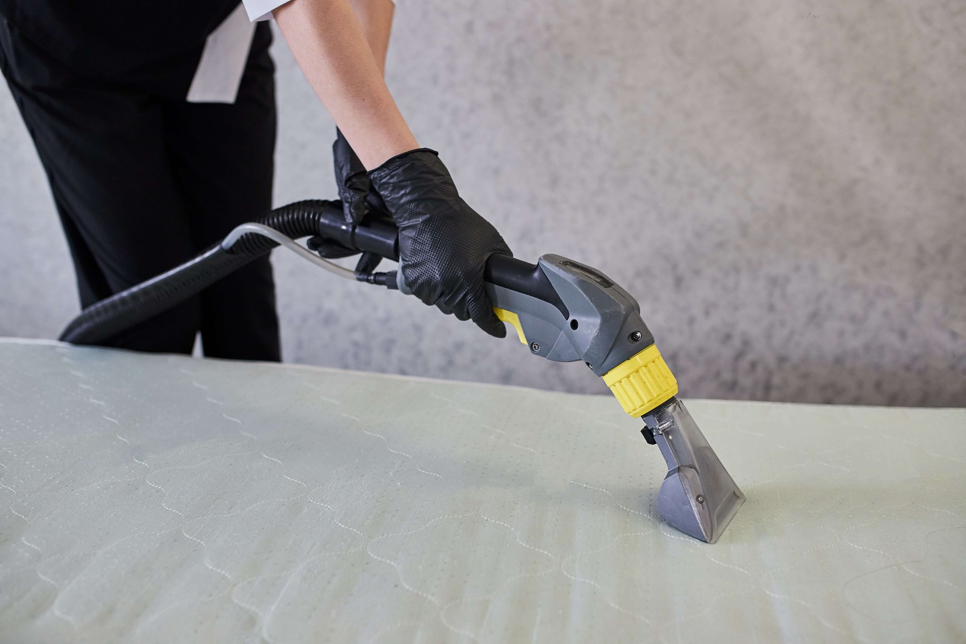 Person cleaning a light-colored surface with a carpet cleaner; they are wearing black gloves and standing in front of a gray wall.