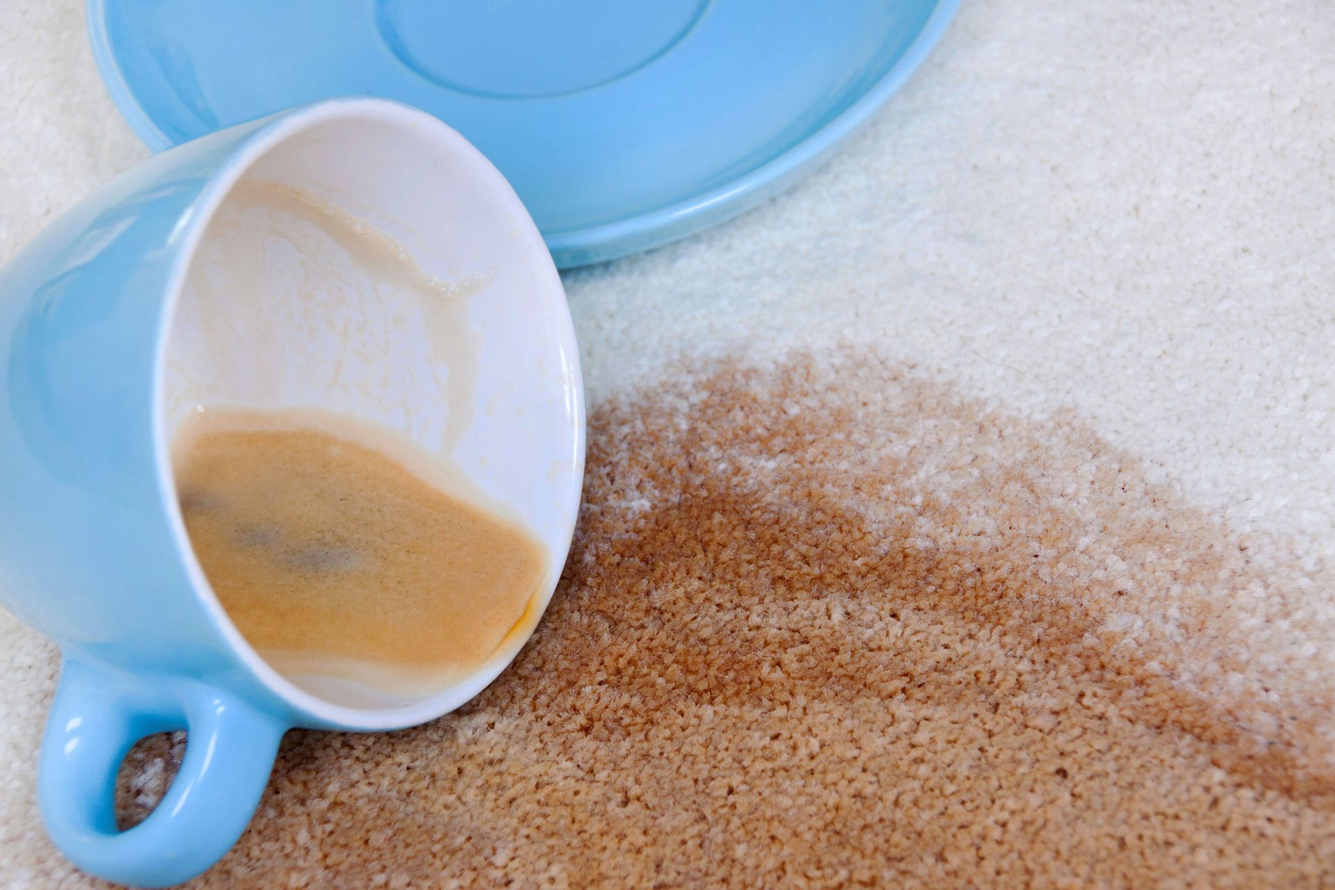 Blue mug and saucer overturned, spilling coffee onto a tan carpet.