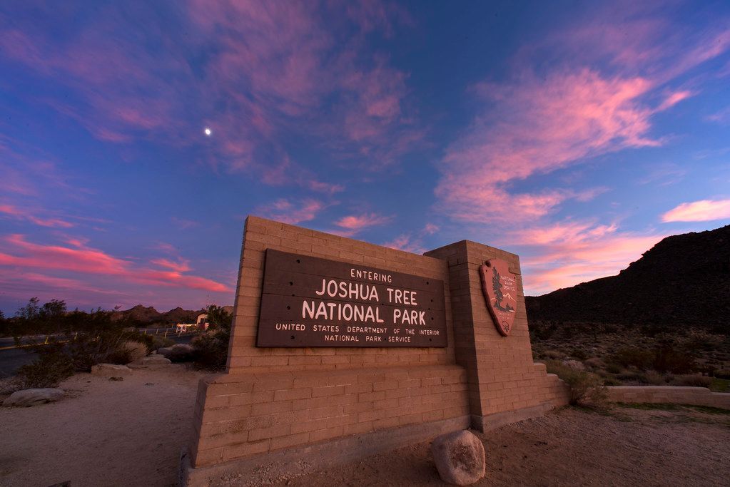 Joshua Tree National Park sign at sunset with pink and blue sky.