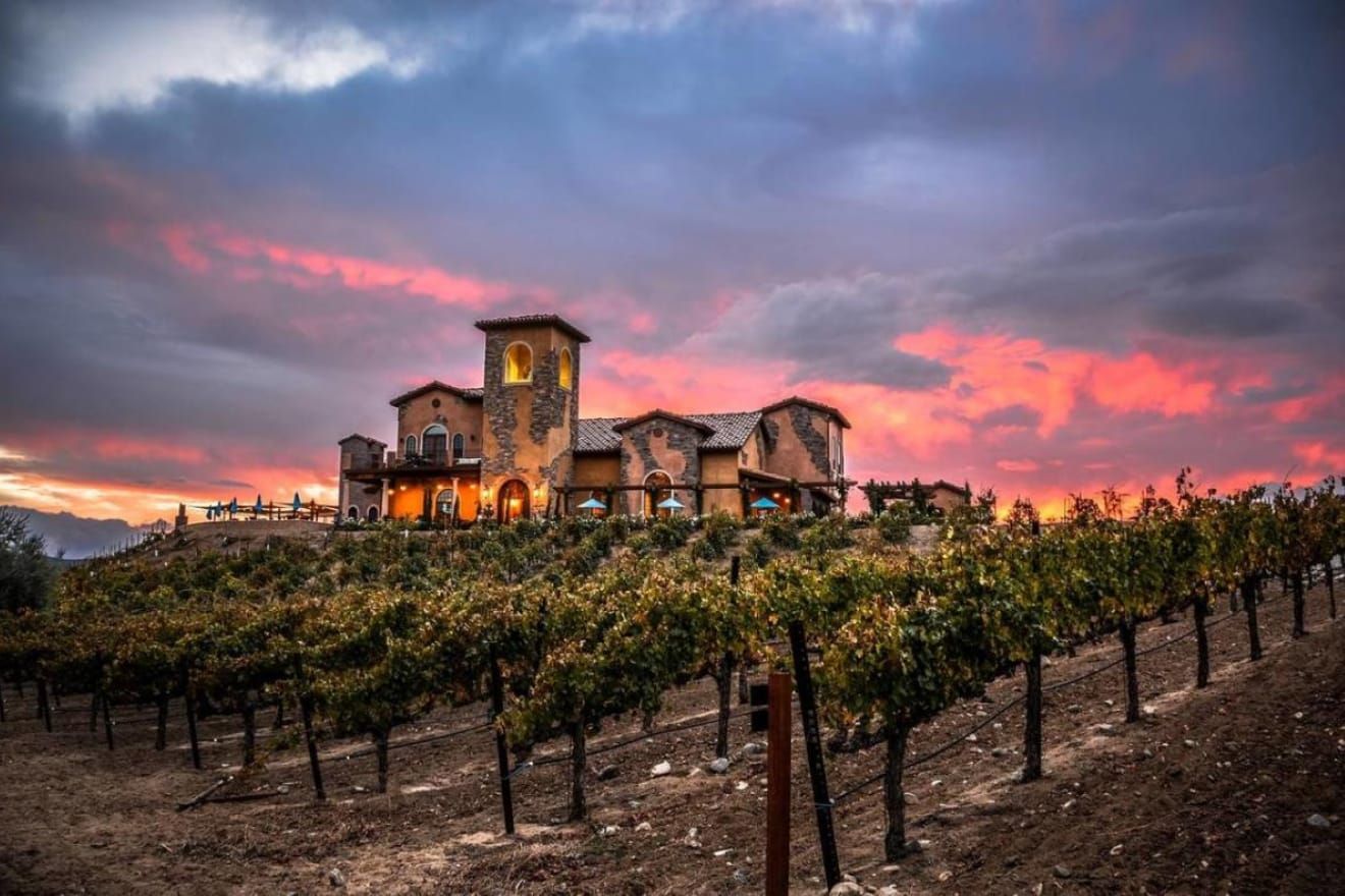 Vineyard with rows of grapevines leading to a stone building lit up by the vibrant sunset sky.