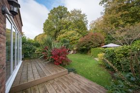 Backyard | Louisville, KY | Arbor Image Tree Company
