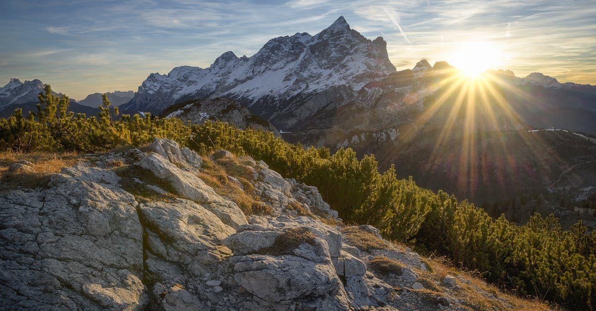 Sunrise over jagged mountains with golden light, rocky foreground, and green shrubs under a clear sky