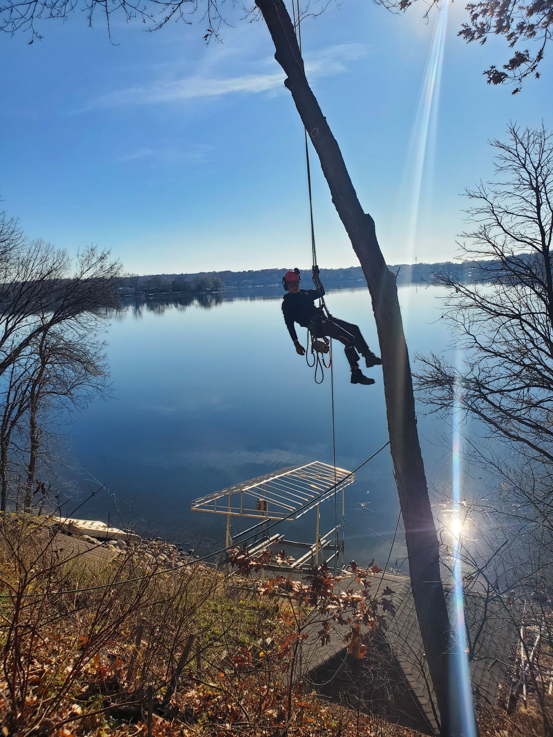 A person is hanging from a tree overlooking a lake - Shakope, MN - Your Tree Guy, LLC