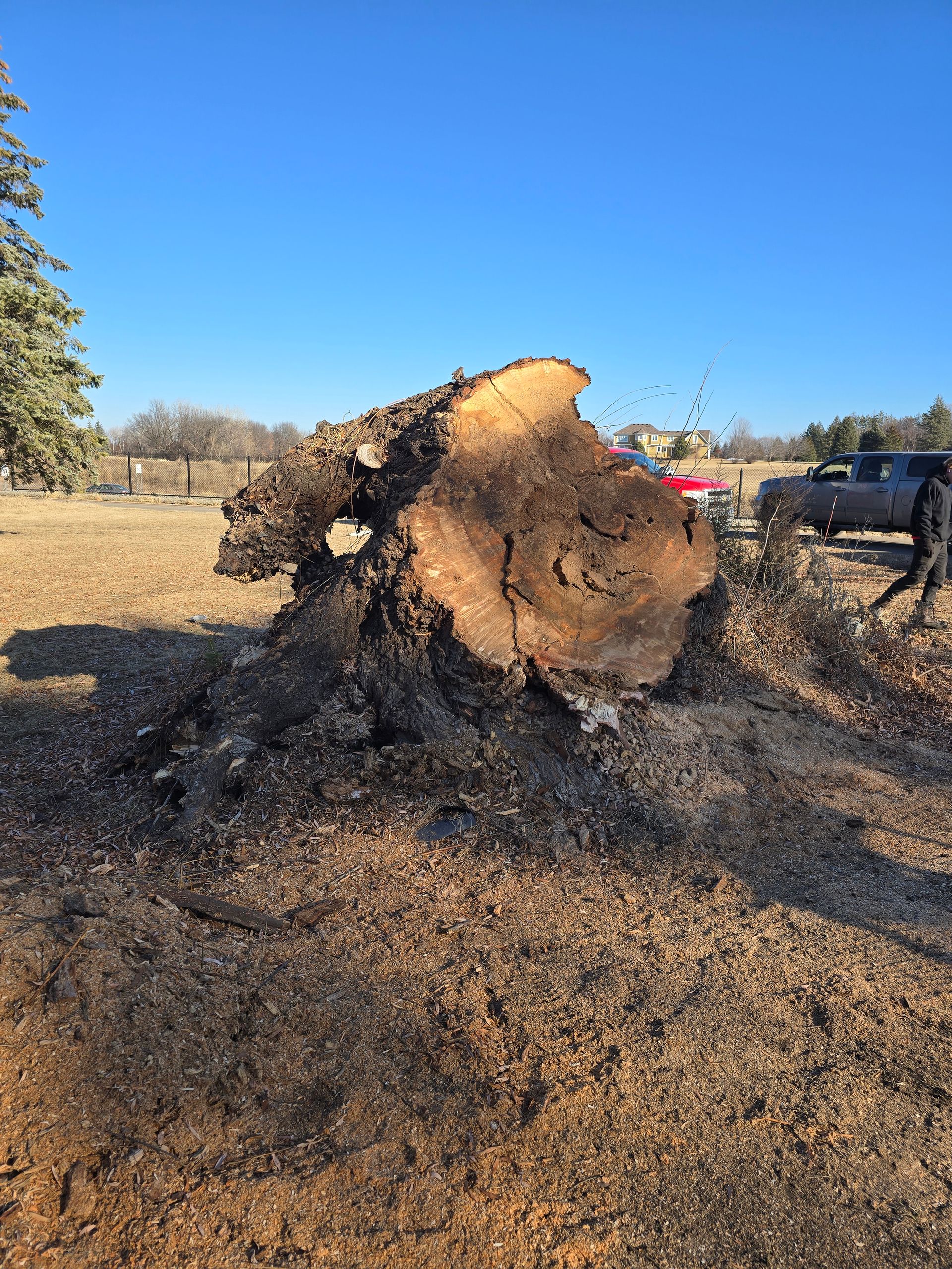 Three men are standing in front of a green crane - Shakope, MN - Your Tree Guy, LLC