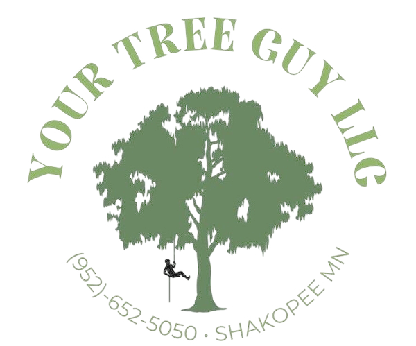 Your Tree Guy, LLC Your Tree Guy, LLC