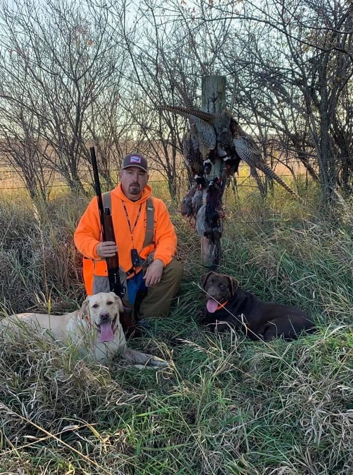 Hunter kneels with two dogs, gun, and pheasant. Man wears orange, dogs pant. Prairie setting.
