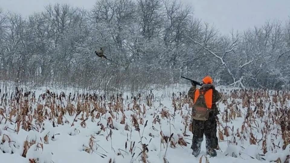 Hunter in orange vest aims at a bird in snowy field. Bare trees in background.