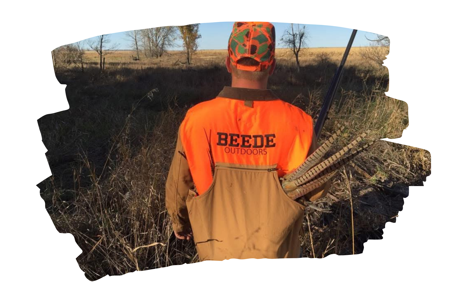Hunter kneeling with two dogs, bird in hand, orange vest, gun, outdoor setting.