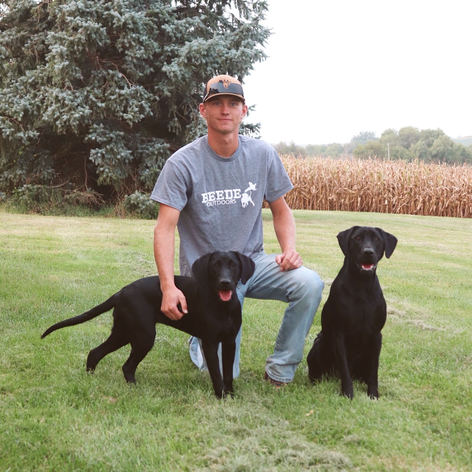 Man kneeling with two black Labrador Retrievers in a grassy field near a cornfield.