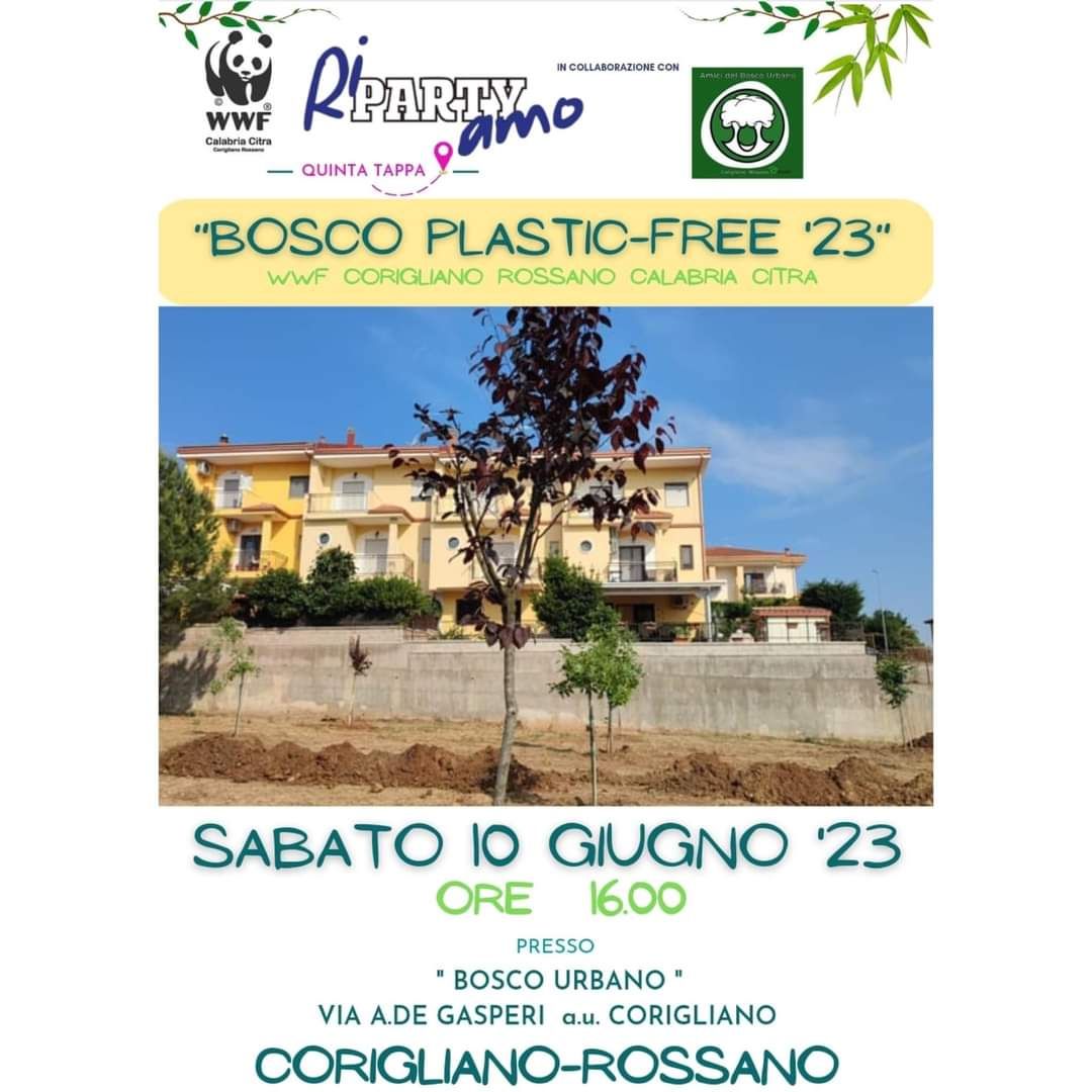 Bosco Plastic Free '23. Quinta tappa 