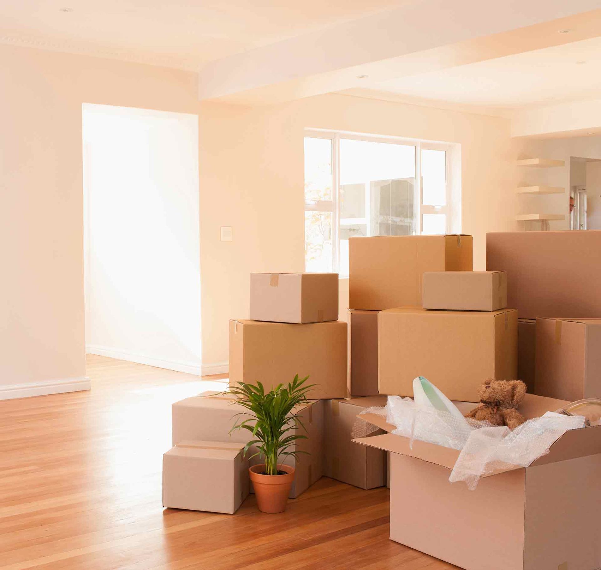 storage expert