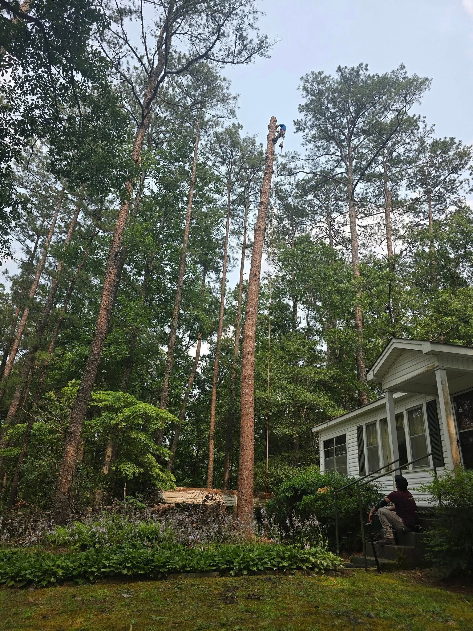 A man is sitting on the porch of a house surrounded by trees.