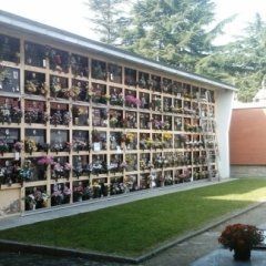 bare in esposizione