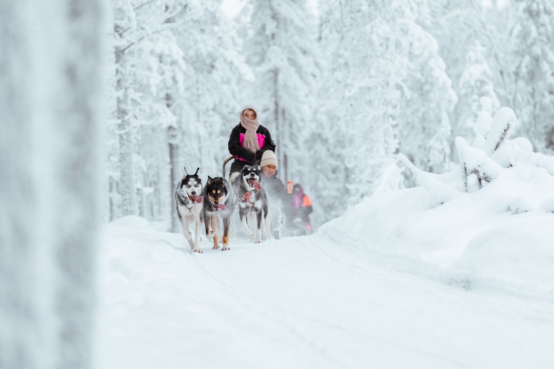 Husky ride
