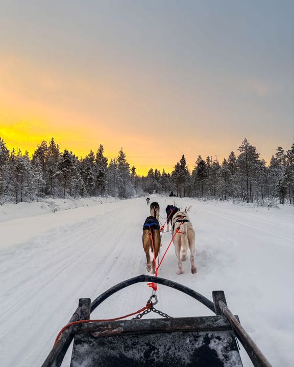 Husky ride